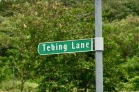 自2017年集装箱主题餐馆、咖啡馆进驻后，特炳巷热闹起来。（叶晓虹摄）