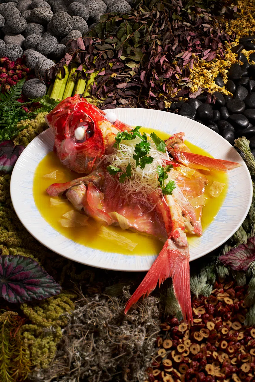 四川饭店选用日本食材金目鲷，烹制酸菜鱼。（餐馆提供）