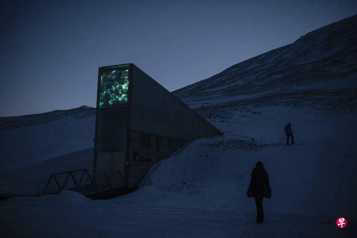 种子方舟”办第二次种子存入仪式样本总数达129万份| 联合早报