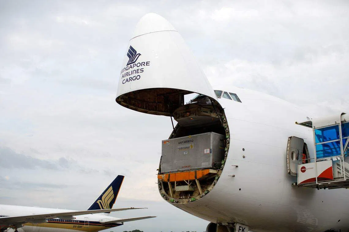 工作人员星期二（1月16日）将通过货机的机头舱门把装载叻叻的运输笼和重约50公斤的竹笋、竹子、水果等物品送入飞机。（新加坡航空公司提供）