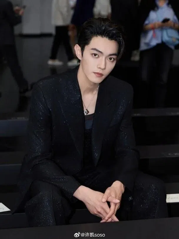 许凯五官精致。（互联网）