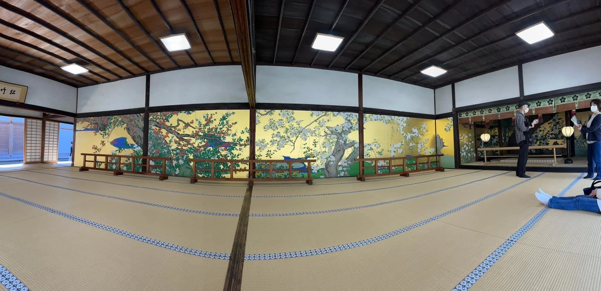 京都智積院的金碧屏风《枫图》与《樱图》。（黄向京摄）