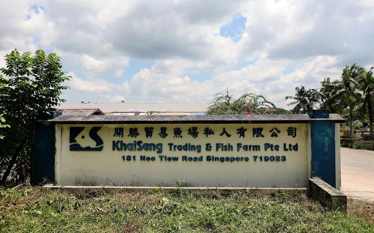 具有25年历史的开胜鱼场，如今面对搬迁问题。（龙国雄摄）