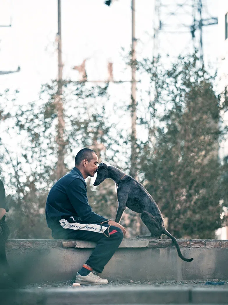 彭于晏很感激在走向不惑之年时，碰到《狗阵》这部电影。           （The Projector提供）