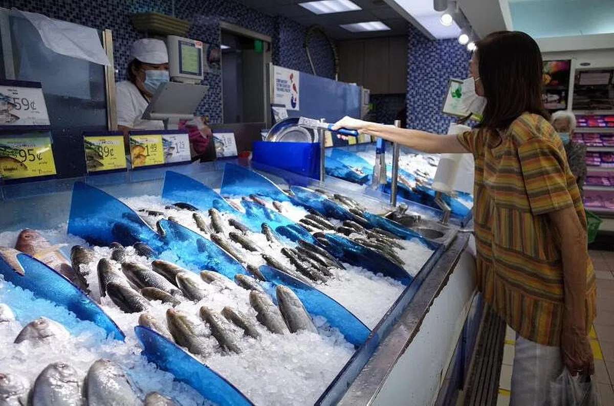 食品局对本地和进口海鲜进行检测，确保重金属含量在合格范围内。（李健玮摄）