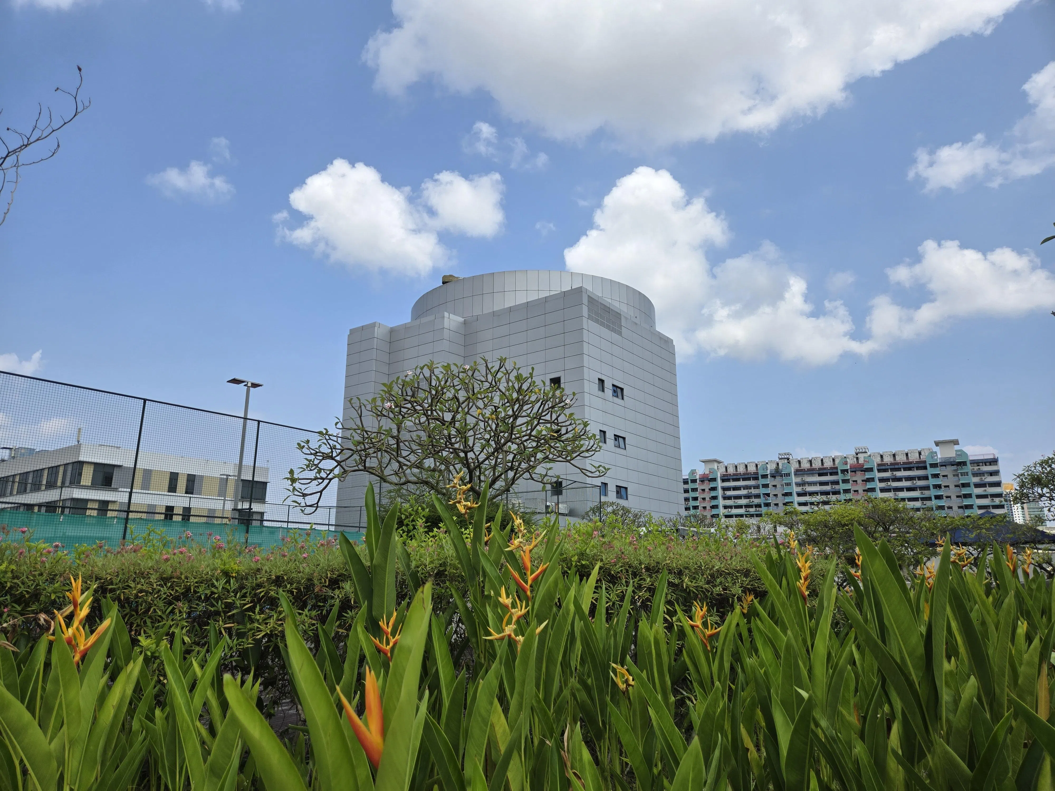 Z Fold6的摄影效果出色，天空和植物的色彩鲜艳讨喜。（黄少伟摄）