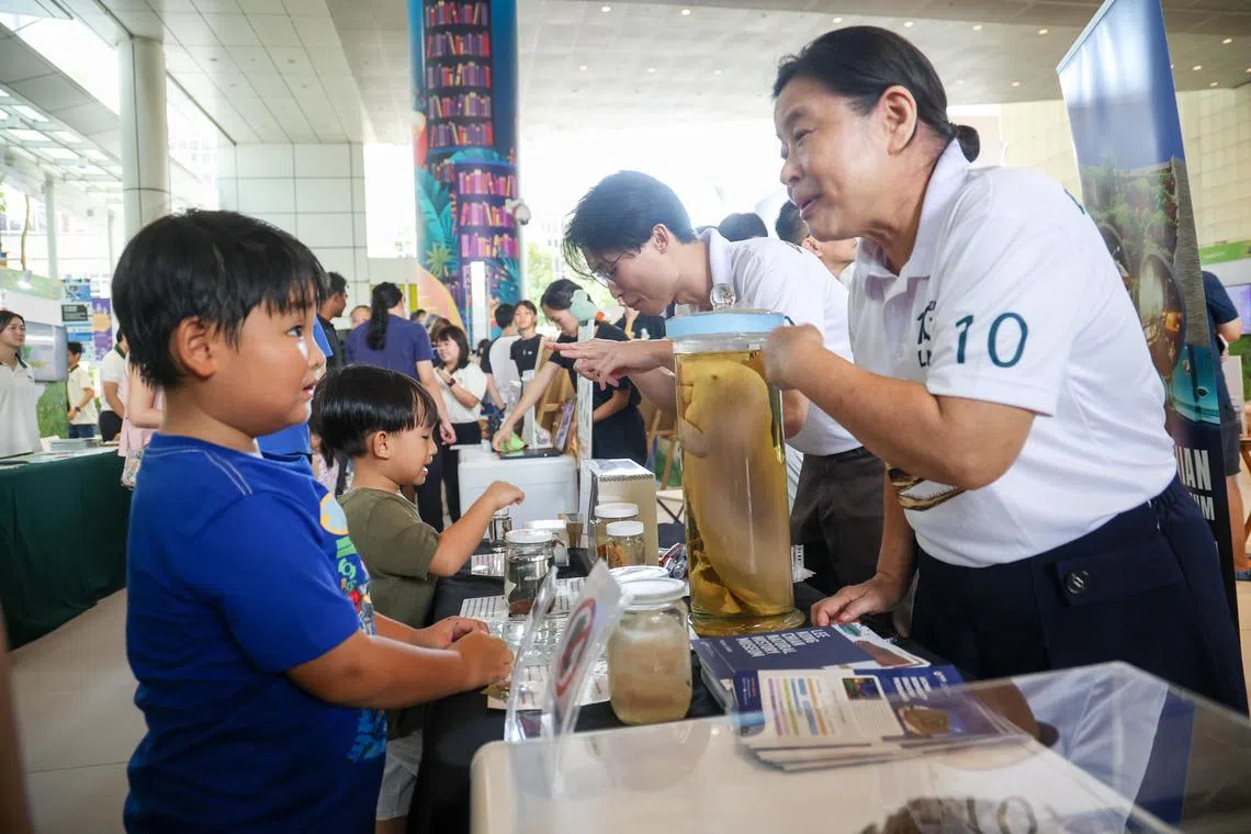 生物多元节由国家公园局和生物多样性圆桌会议（Biodiversity Roundtable）联办，这个周末（5月31日和6月1日）在国家图书馆大厦广场举行。开幕当天，有不少父母带小孩到现场，加深对本地生物多样性的认识。（蔡家增摄）