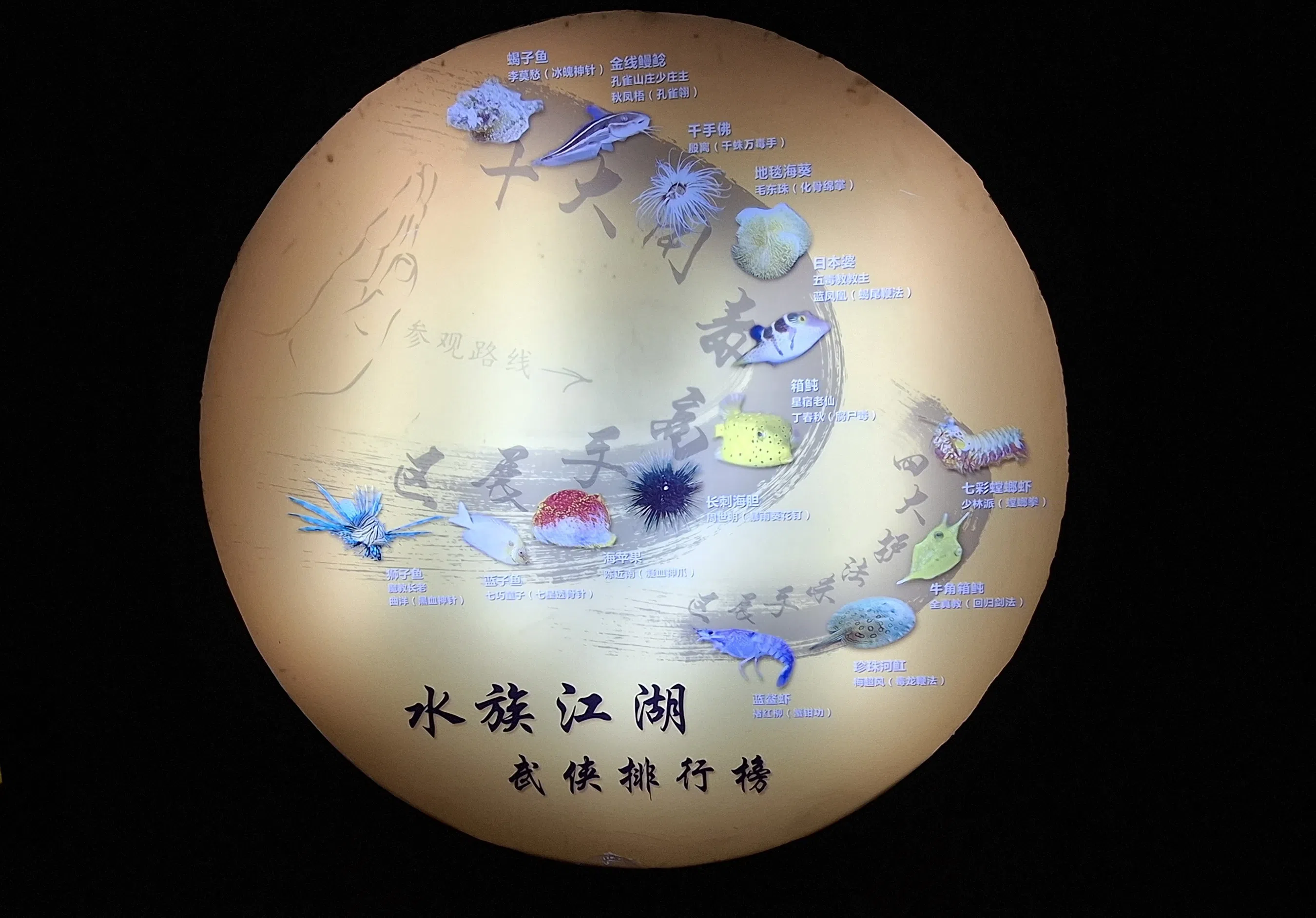 海洋水族馆的武侠排行榜。（作者摄）