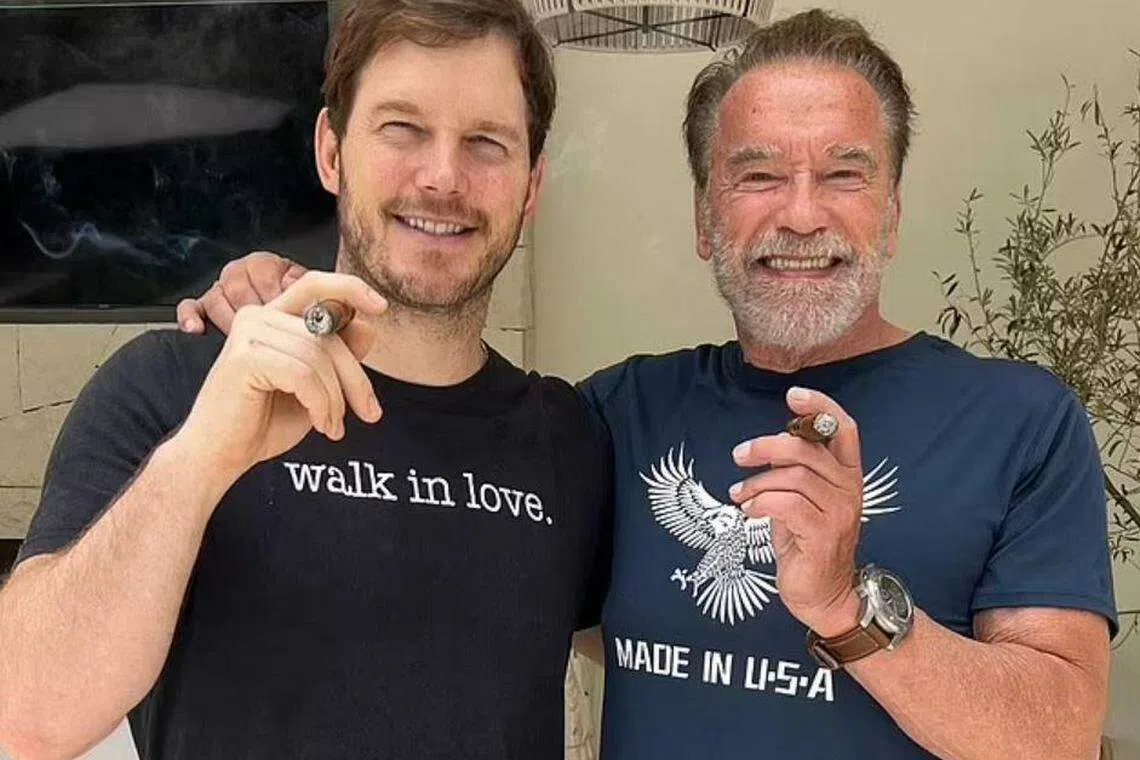 帕拉特（左）是大只佬阿诺的女婿。（互联网）