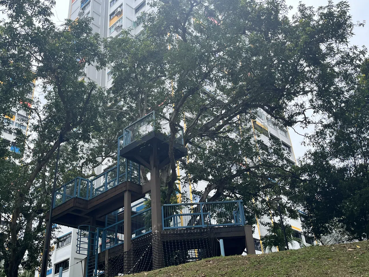 大牌12座组屋附近，环绕大树而建的游乐设施，融入周遭环境。（陈映蓁摄）