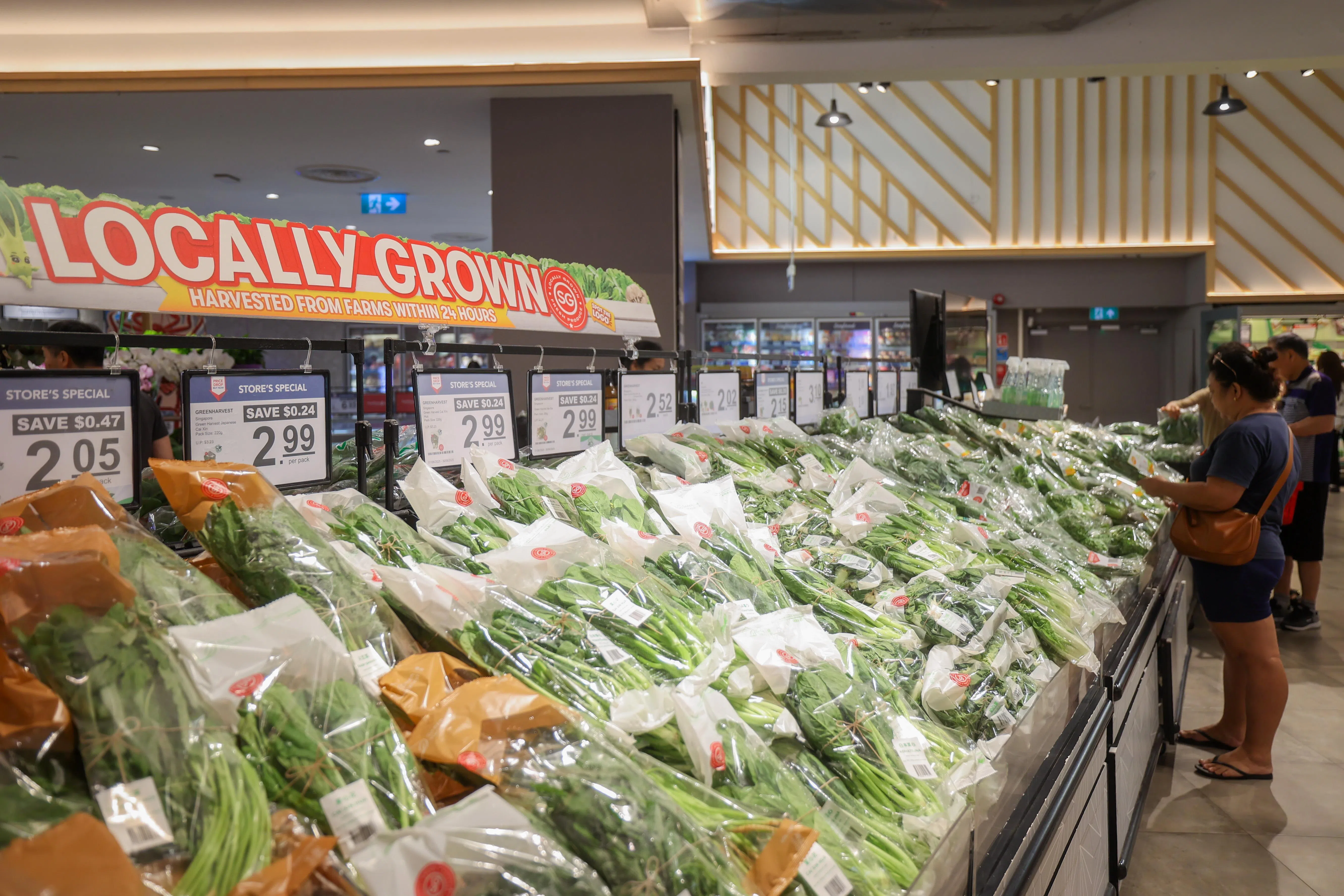 新加坡食品局去年11月更新本土食品生产目标，取代30·30愿景，同时推动全新的全球合作伙伴关系，并继续开拓多元进口源和储备食品，四管齐下加强整体食品供应的韧性。（吴先邦摄）