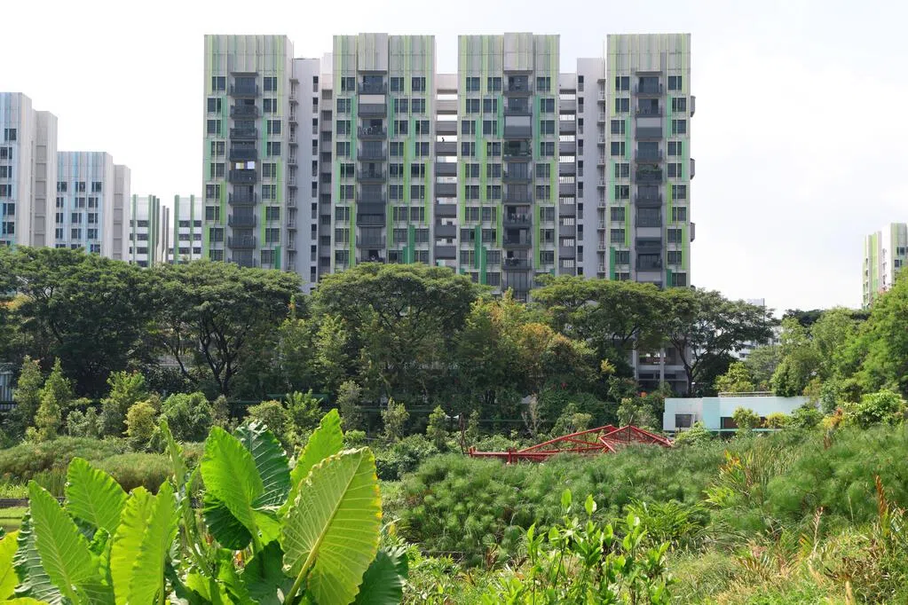 比达达利四房式组屋132万元成交 转售价创大巴窑新高　