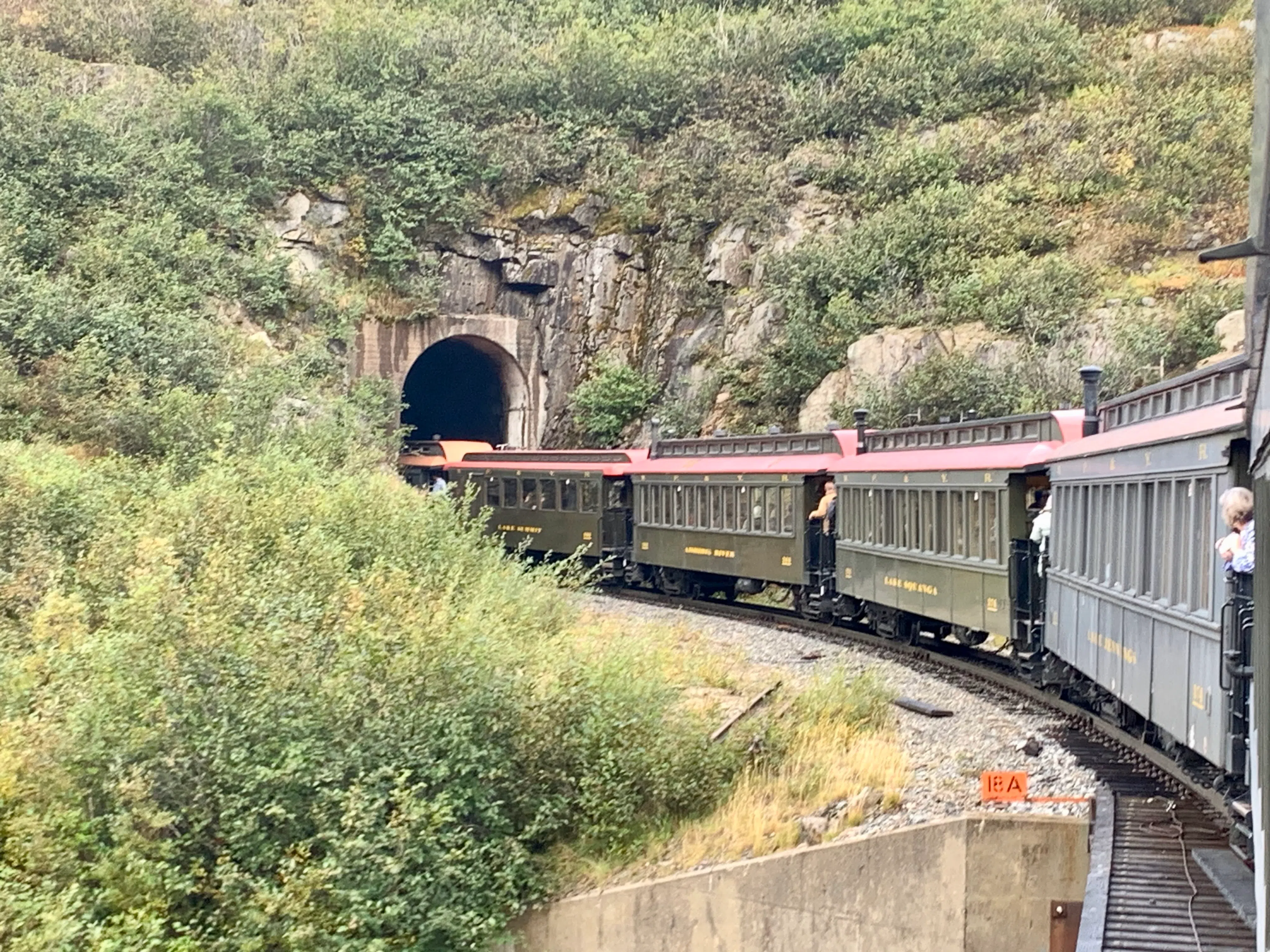 古董火车穿山越岭，游人饱览阿拉斯加壮丽风光。（黄佩卿摄）