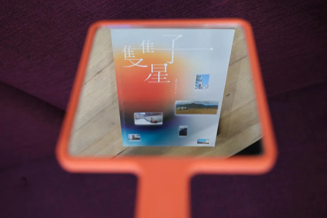 《双子星》记述作者多年游历中，触动心绪的每个瞬间，包括旅游、音乐、片段的思绪和感动，化为精炼文章。（龙国雄摄）