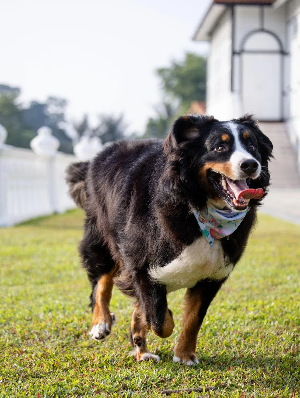 Gulliver（受访者提供）