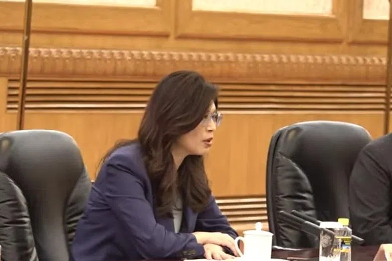 郑丽文：台海不会成为外力介入的棋盘