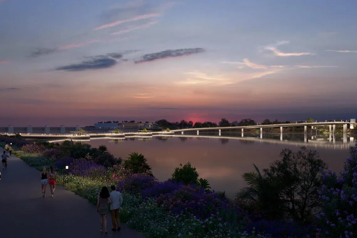 新桥全长约550米，采用弧形坡道设计，最高点约离水面9米，设有观景与休憩空间；其中约175米桥段贴近水面，沿途设有观景平台。（滨海湾花园构想图）