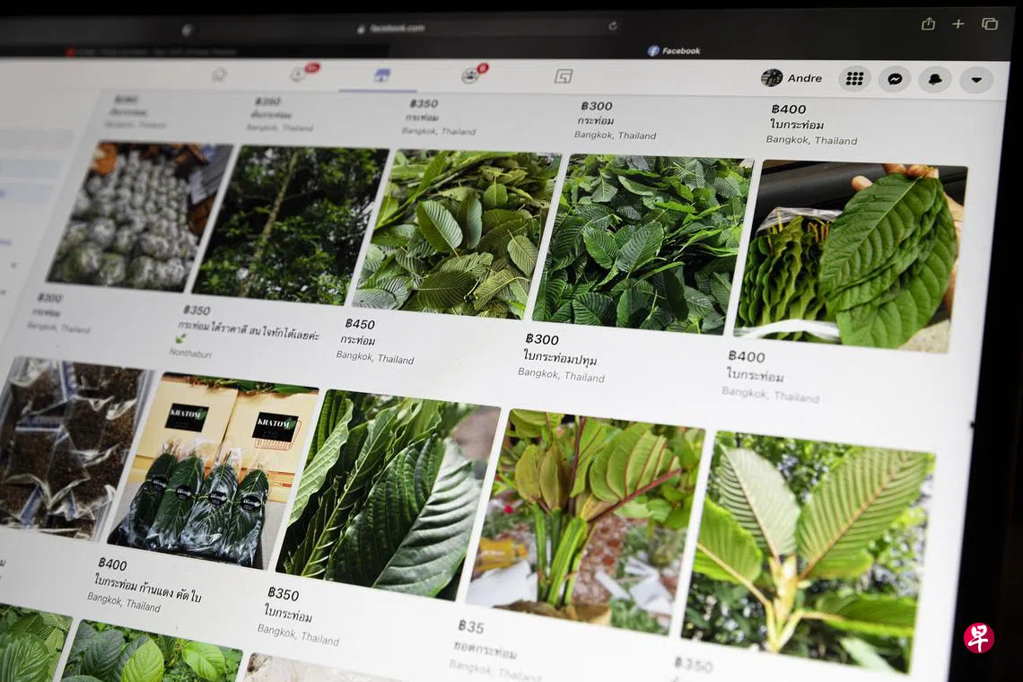 泰国解禁管制毒品替代品“卡痛”掀网购热| 联合早报