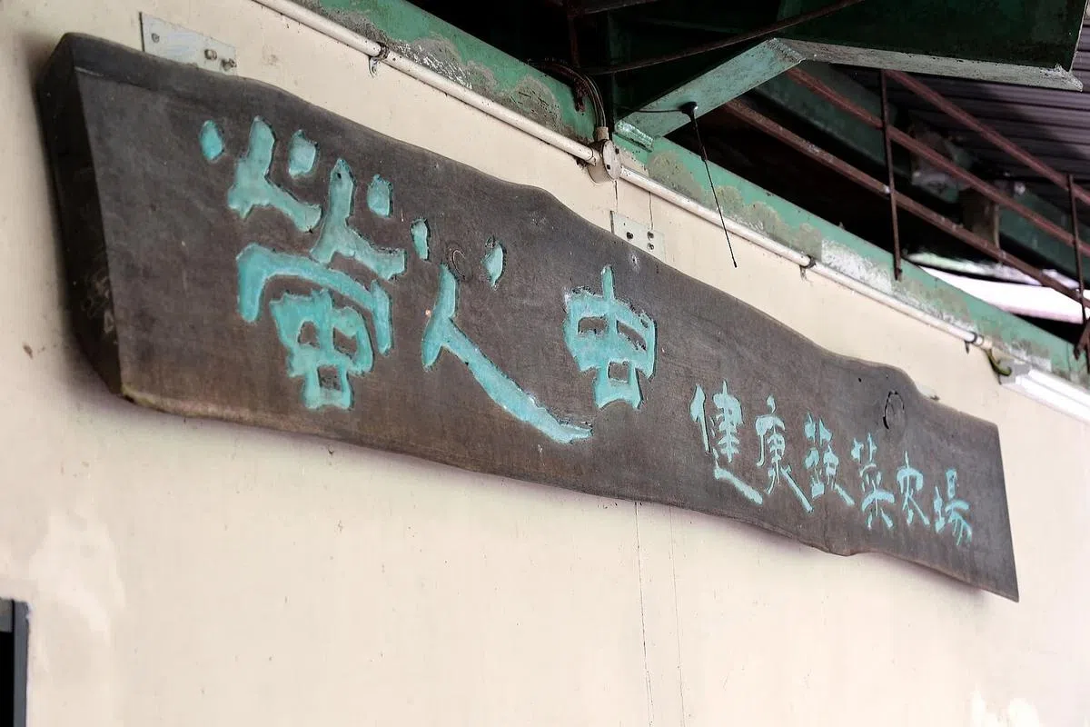 再过21天，这个招牌就得拆下，位于林厝港2巷的萤火虫健康蔬菜农场将画上句点。（龙国雄摄）