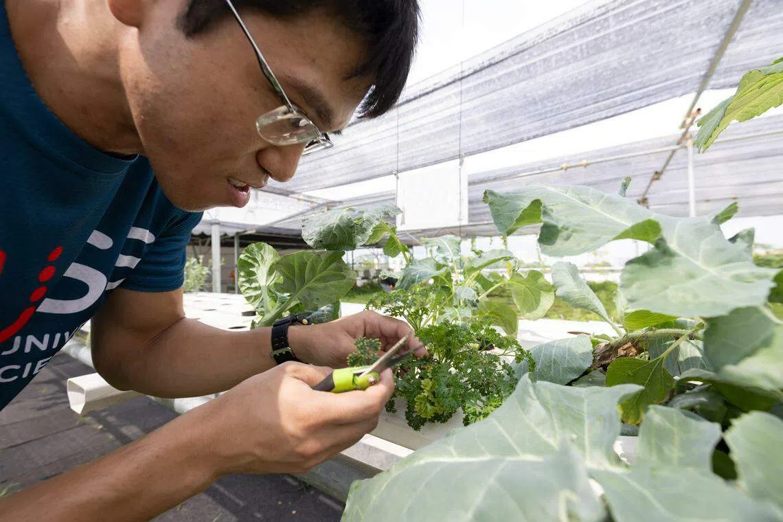 黄相龙希望学习如何通过耕种达到粮食供应永续目标。（特约摄影沈康雄摄）