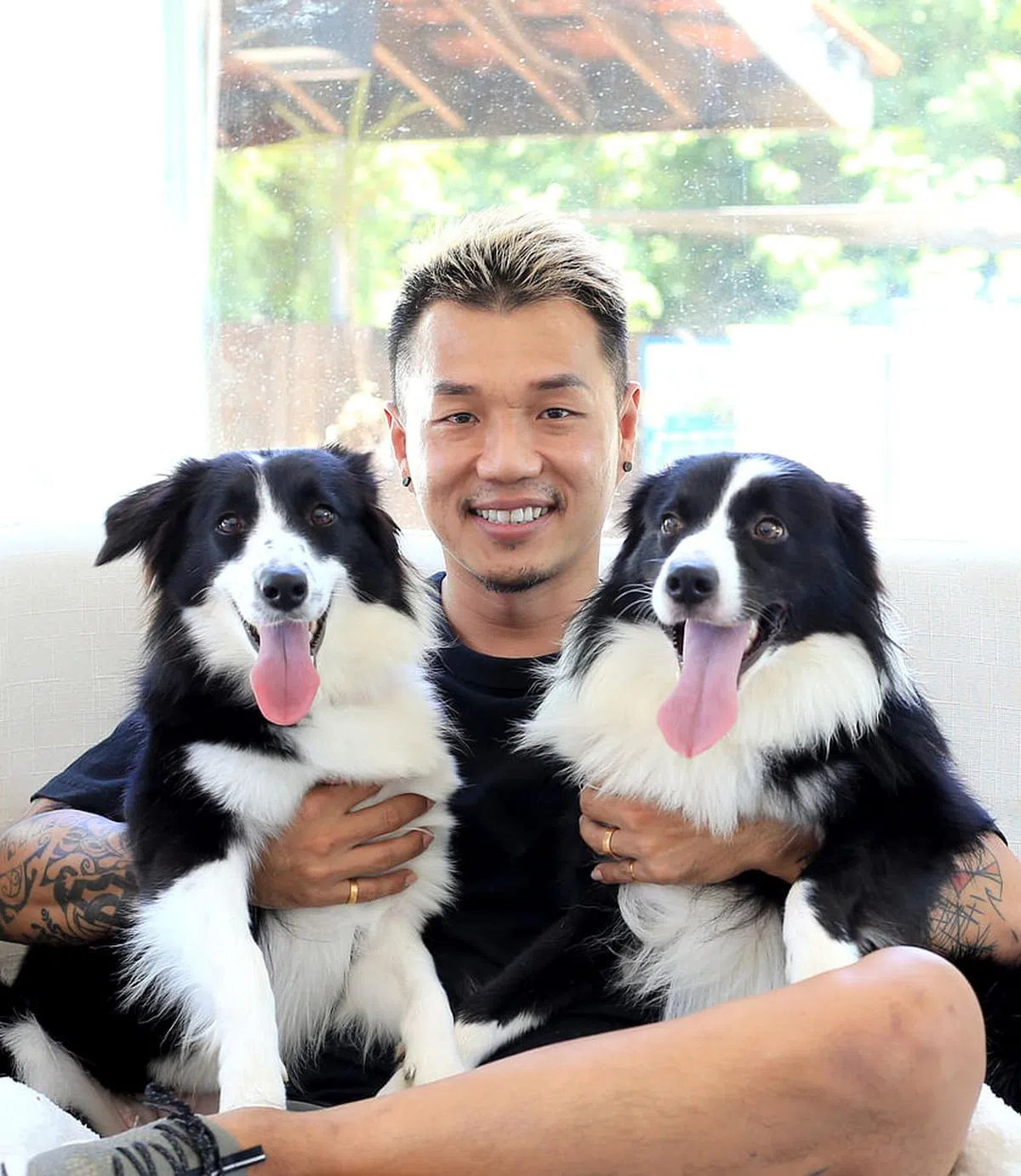 驯犬师陈家兴提醒人们领养流浪狗时，必须了解它的背景，以免出现咬人现象。（档案照）