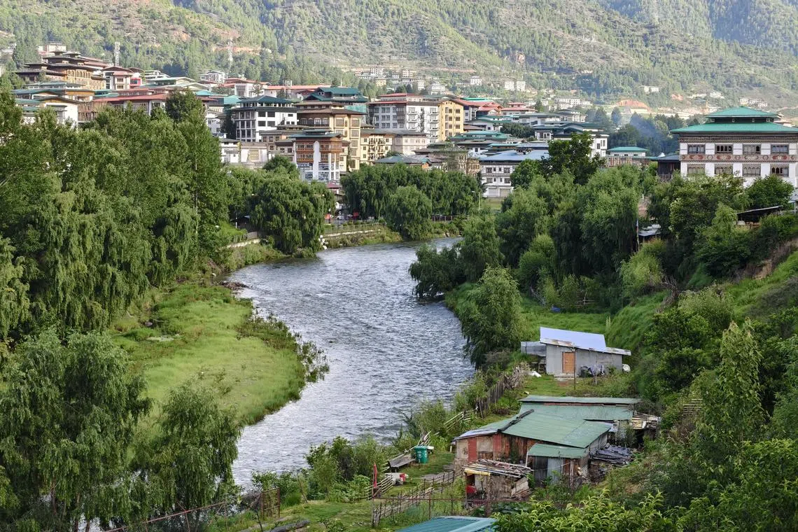 得益于超过70%的森林覆盖率，不丹被广泛认为是全球最早实现负碳排放的国家之一。（陈默汎摄）