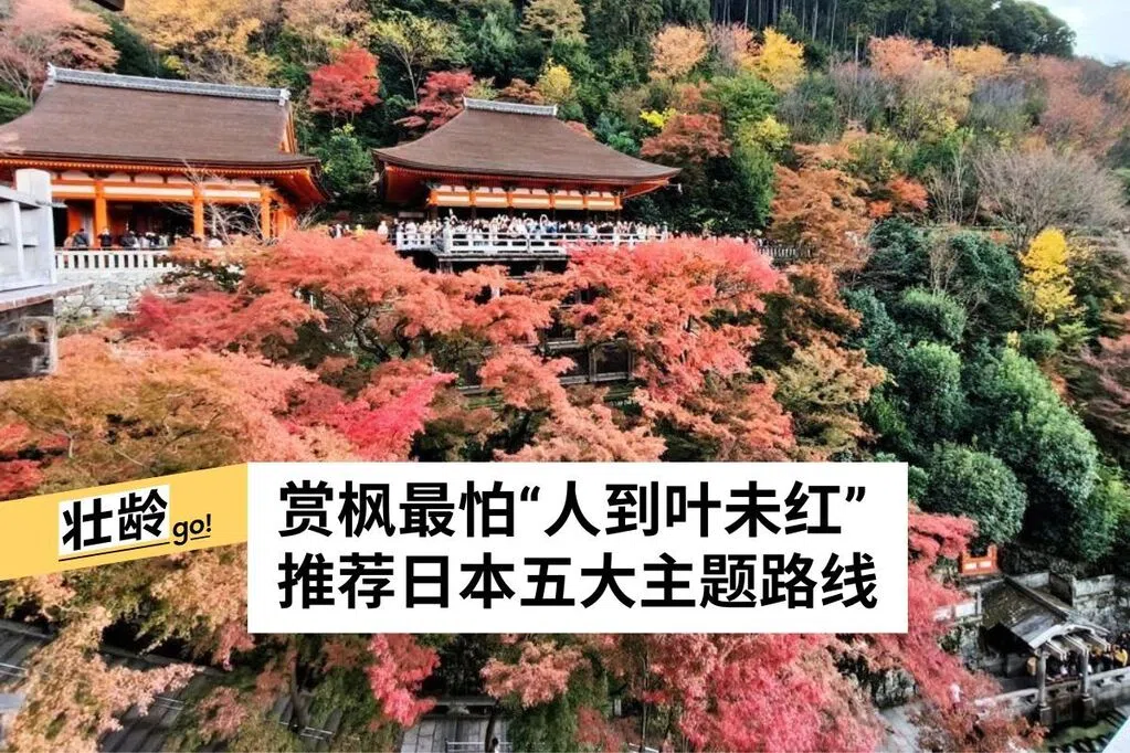 看红叶预测精明追枫 对照时间表与主题景点安排行程