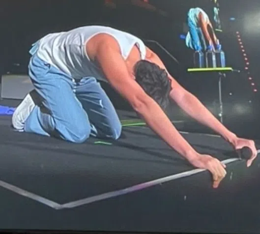 王力宏在演唱会上一度下跪。（互联网）