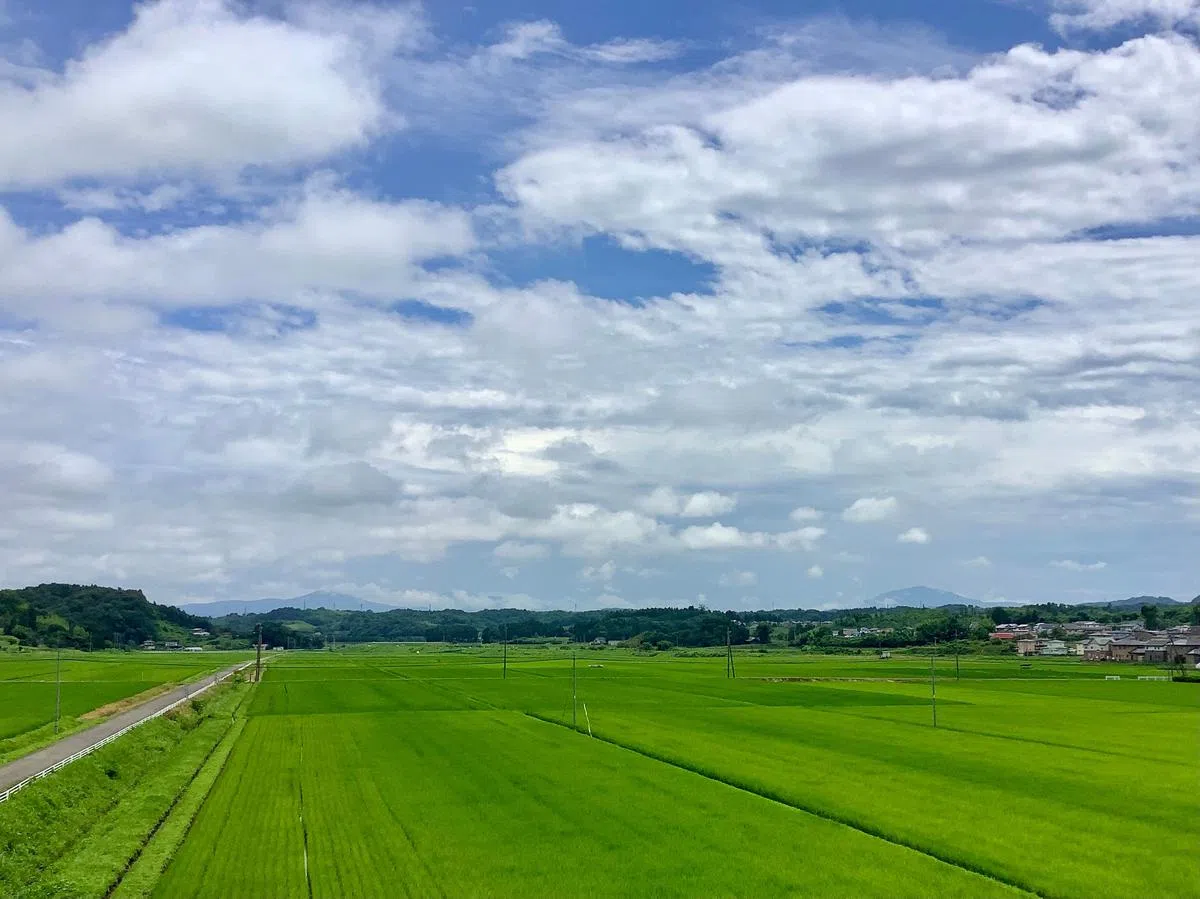 福岛悠然自在的乡间景色。（图/JR东日本福岛站）
