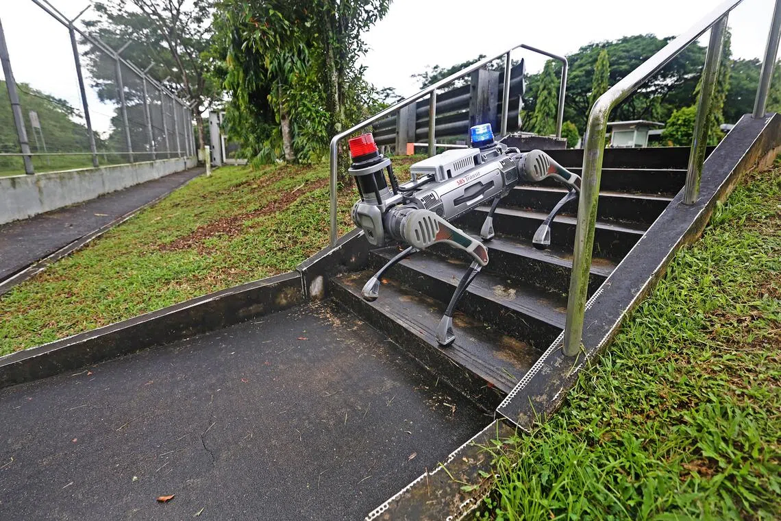 新捷运启用的首款人工智能保安机器狗，爬坡高度可达40厘米。（陈渊庄摄）