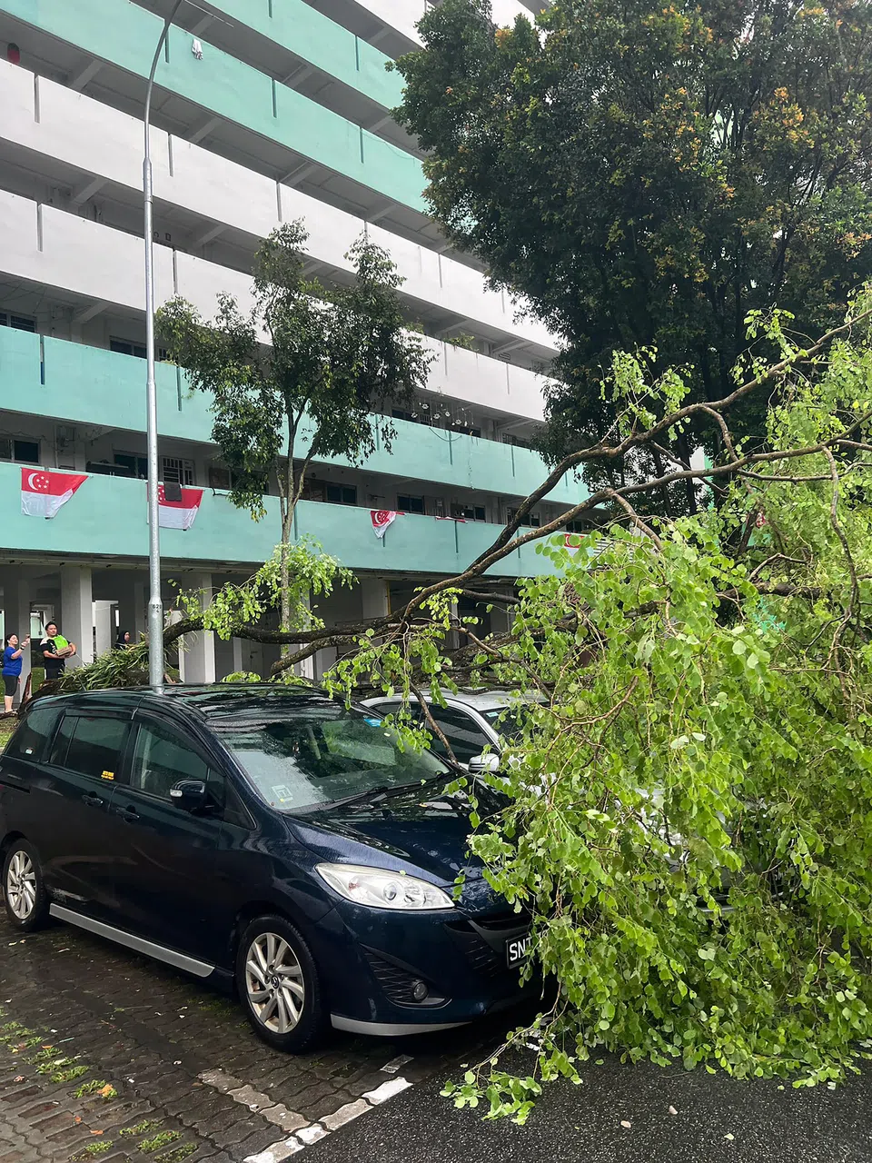 一辆停在宏茂桥4道第628座巴刹附近停车场的汽车被倒下的大树击中。（读者提供）