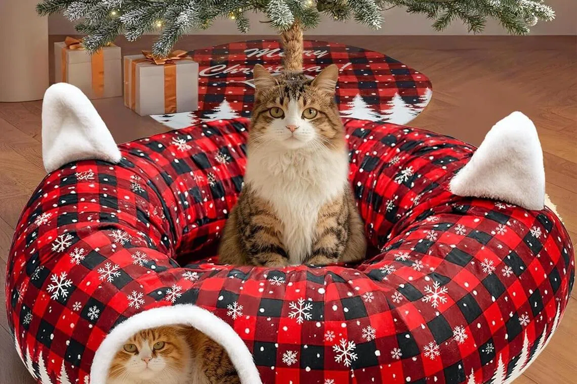 可爱的猫用隧道，为喵星人提供私密休憩空间。（商家提供）