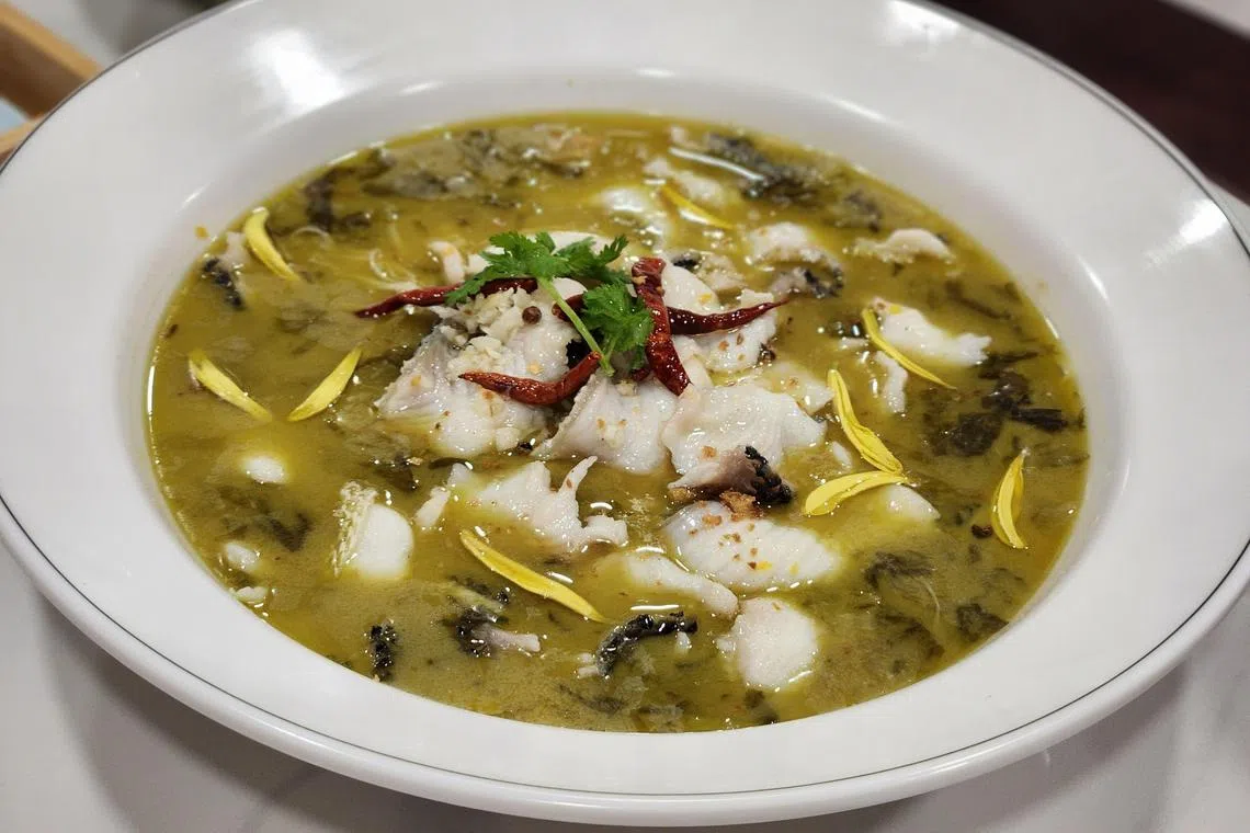 万家福以新鲜生鱼，烹煮新派酸菜鱼。（陈爱薇摄）