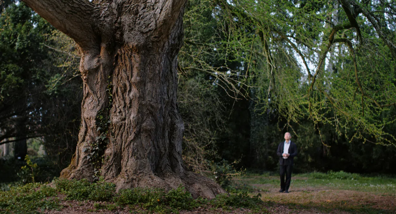 拍完《寂》后，梁朝伟对植物及生命有了不同的诠释，人生观彻底改变。（新加坡国际电影节提供）