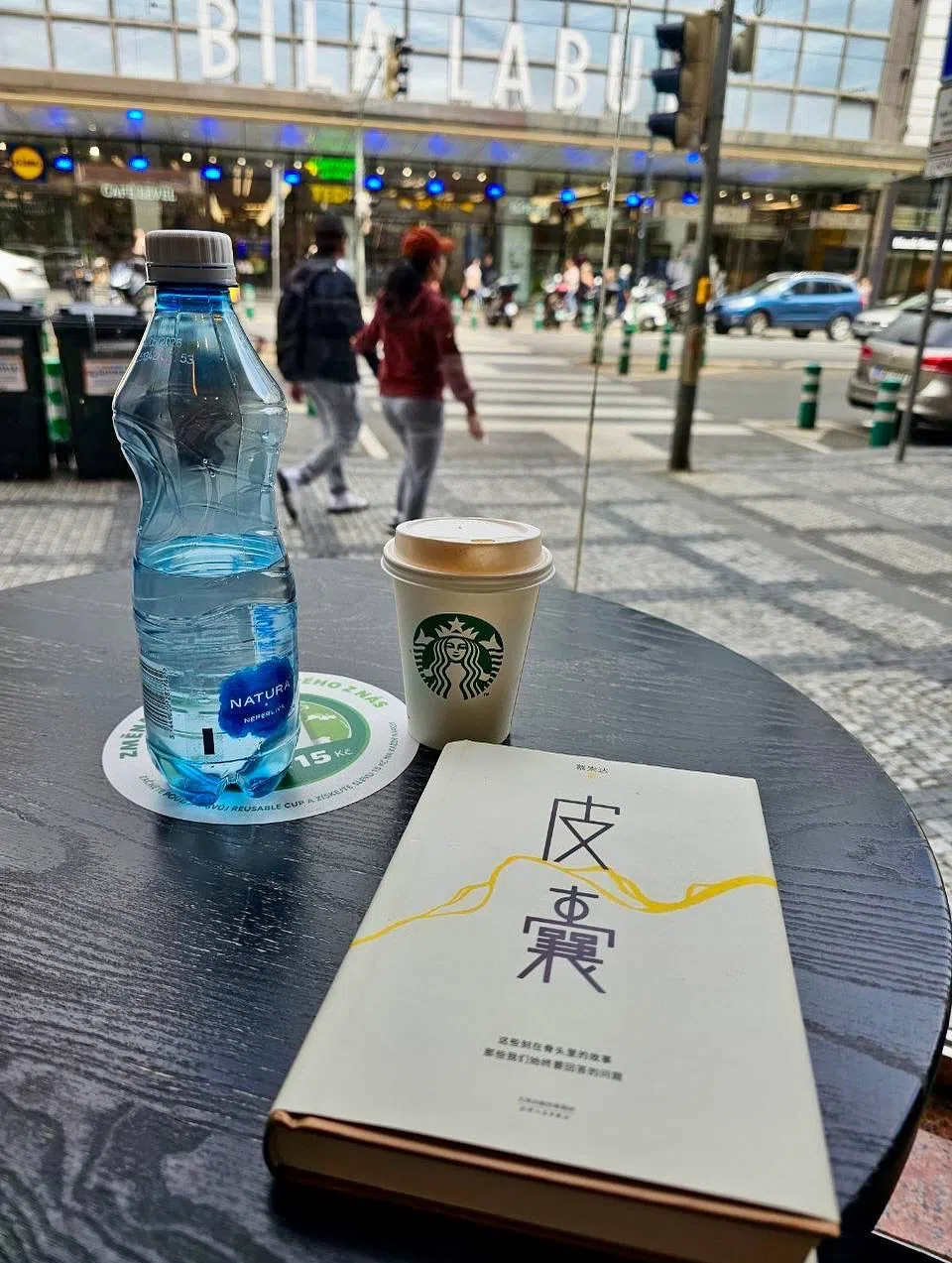 陈洁仪目前在阅读台湾作者蔡崇达的首部散文集《皮囊》，作者以客观、冷静的方式描述一段段骨肉间的故事。（取自陈洁仪IG）