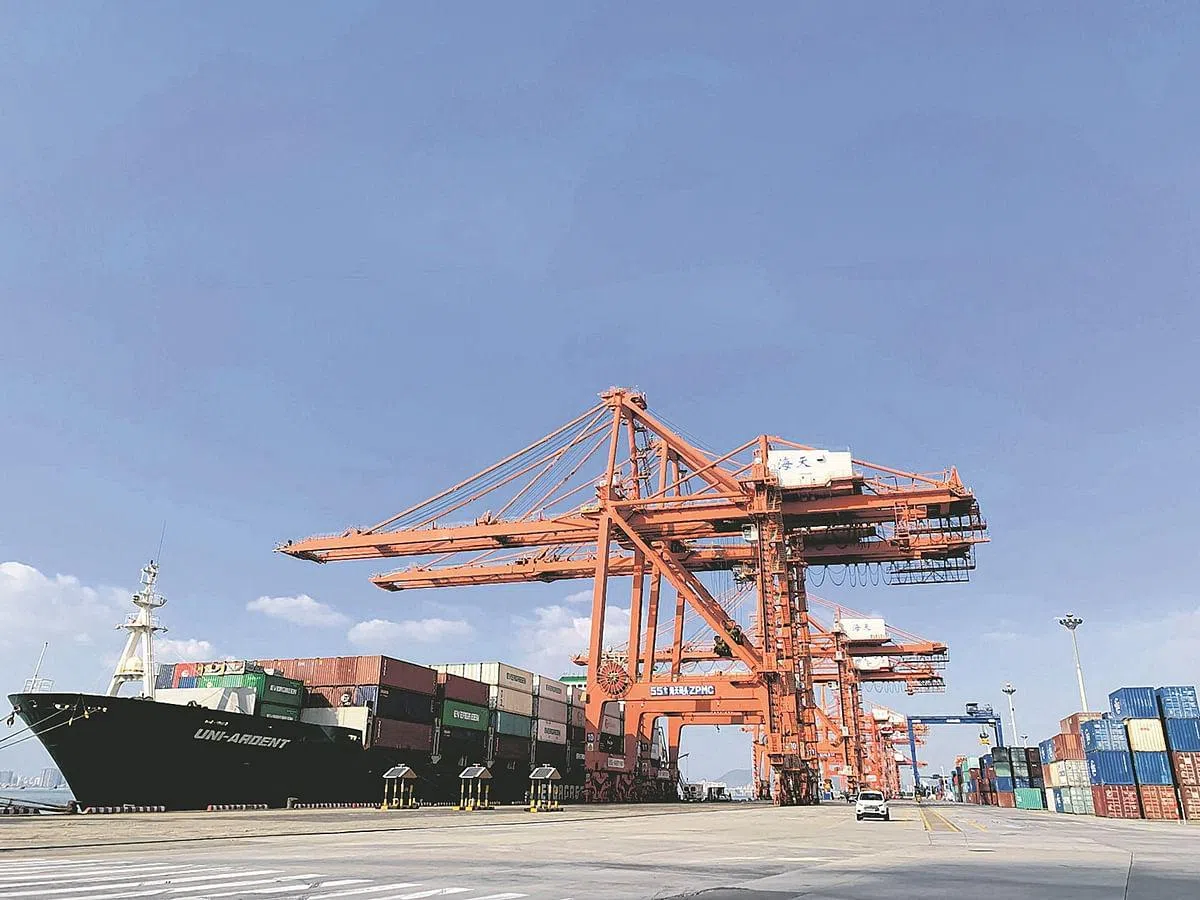 2020年厦门港克服疫情挑战逆势上扬，完成集装箱吞吐量1140.53万标箱。图为海天码头桥吊卸柜。（顾功垒摄）