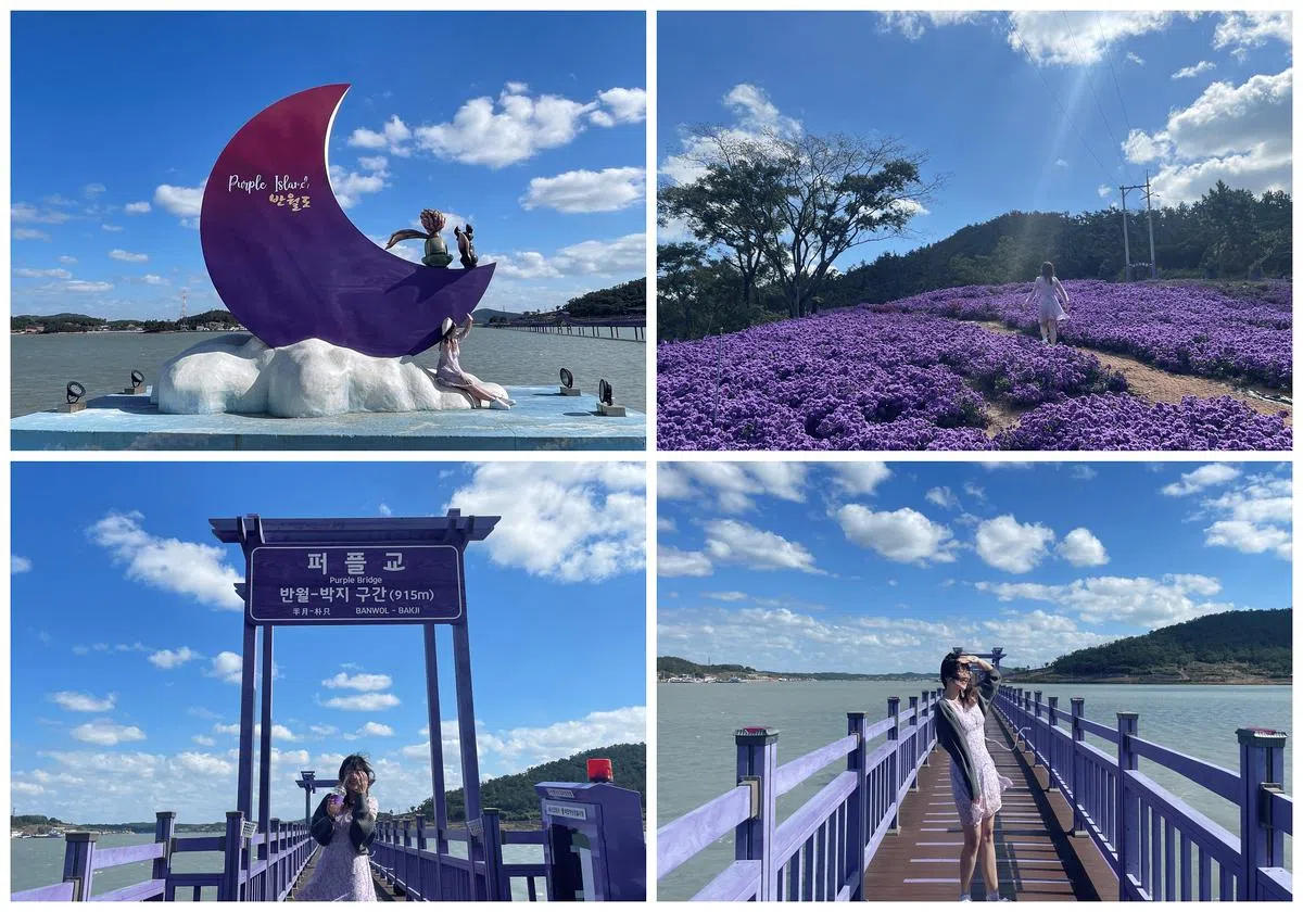 “紫色岛”（Purple Island）是全罗南道新推出的景点，岛上皆以粉色为主（王昀诗摄）。