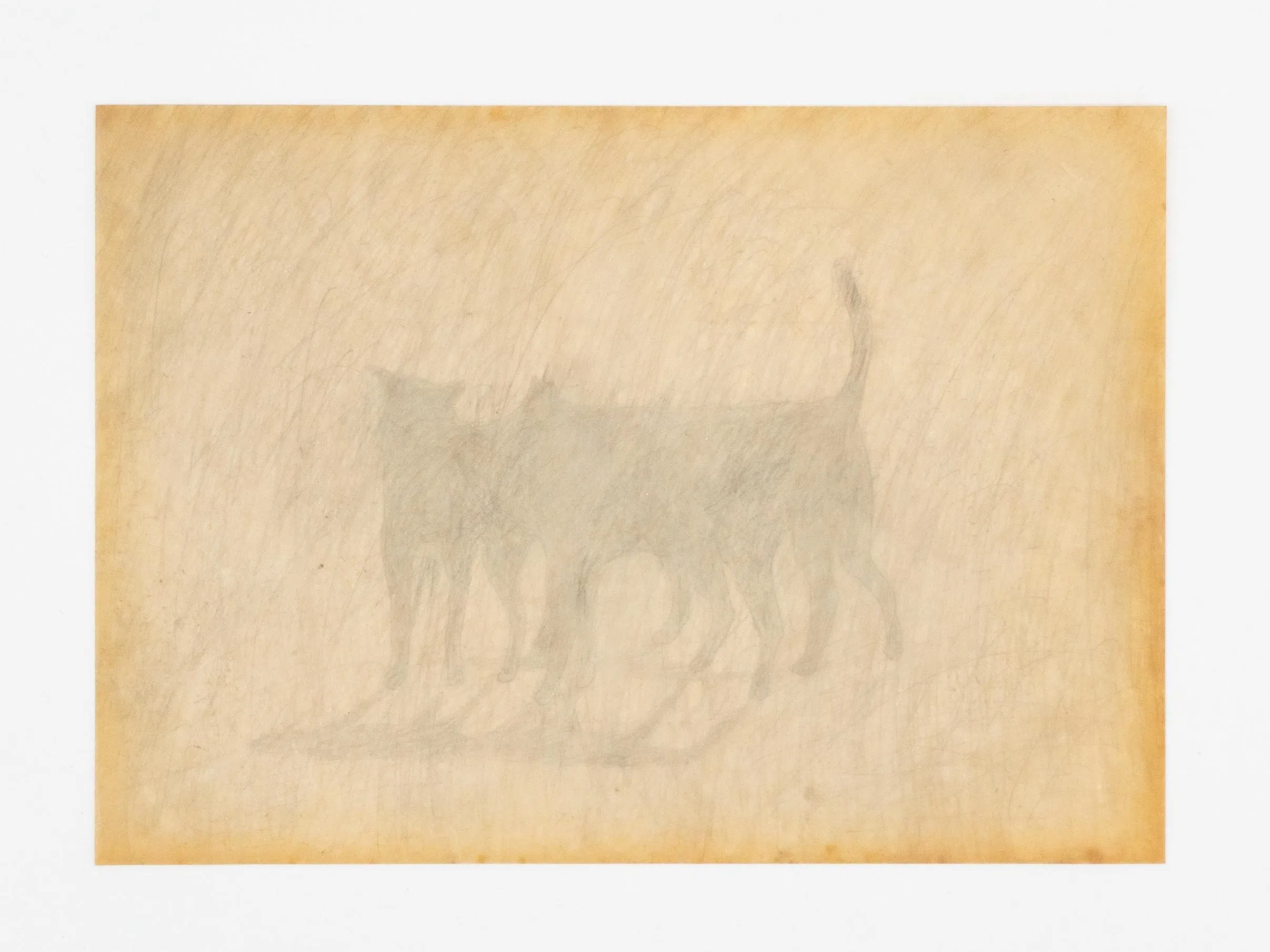 赖宇通的画作让野狗形象显得模糊。（香格纳新加坡提供）