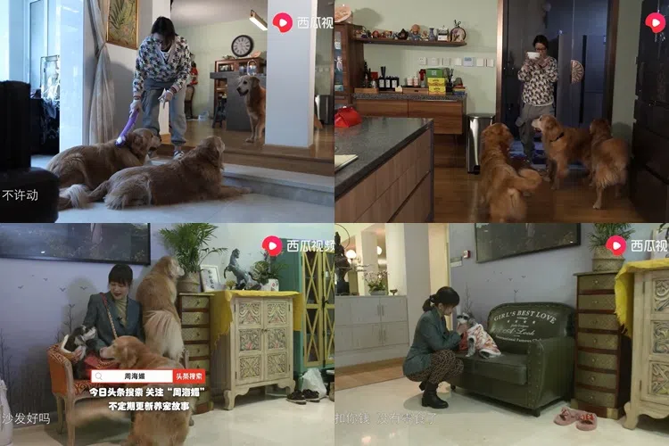 周海媚豪宅内景。（视频截图）