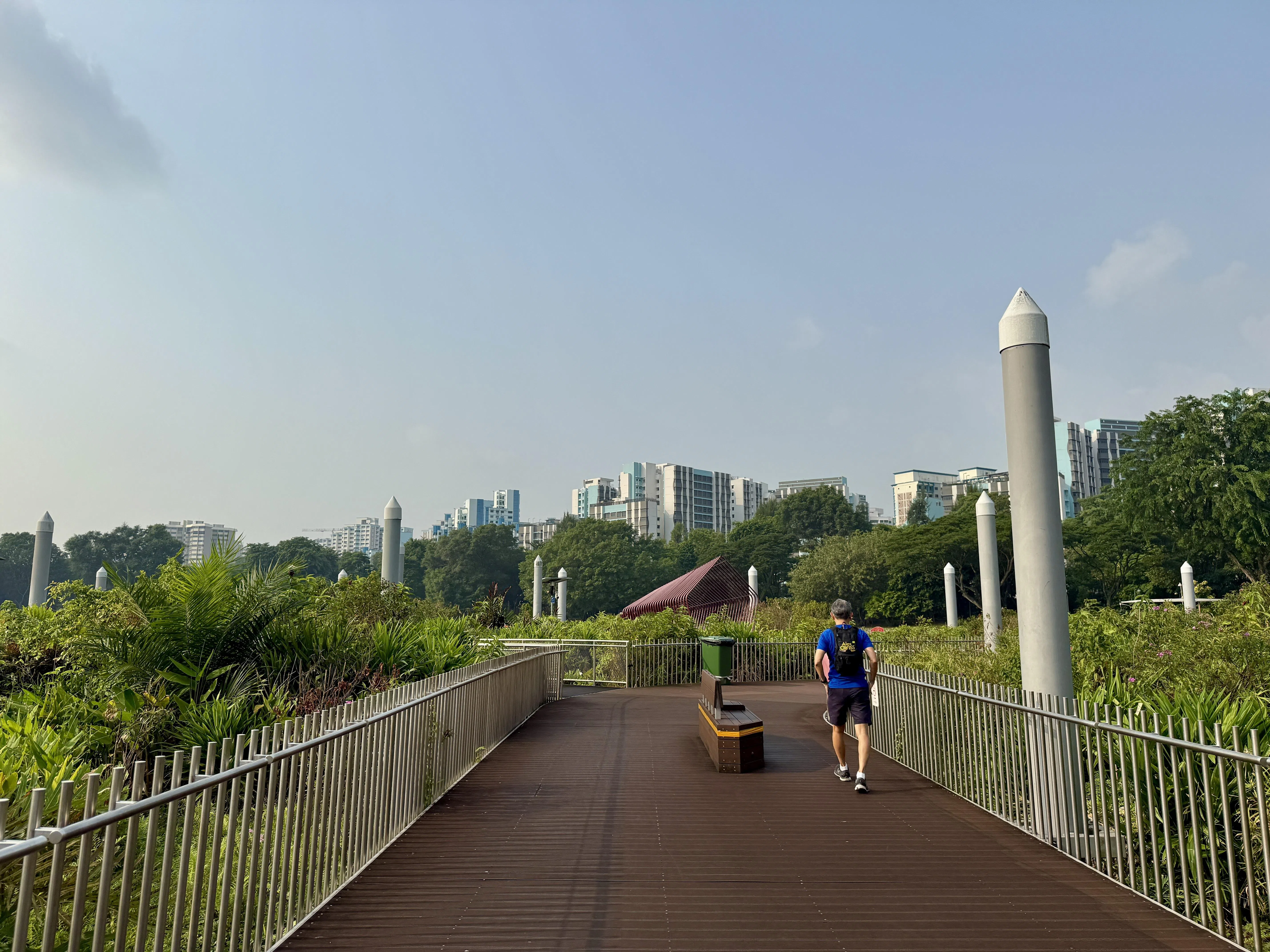 裕廊湖漂浮湿地的木板道十分宽敞，适合一家大小一起散步。（陈映蓁摄）
