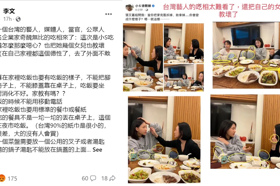 作家李敖的女儿李文对小S的照片列出12点批评。（李文脸书）