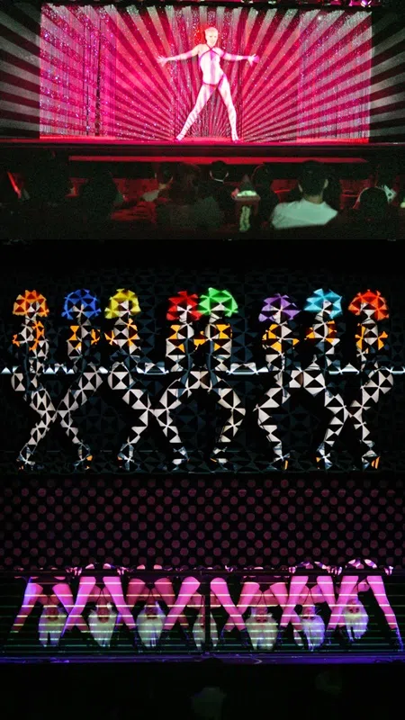 疯马秀于2005年底首次进驻新加坡，最后以失败告终。（档案照片）