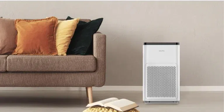 Novita A11空气洁净器，以性价比来说较大众化。（商家提供）