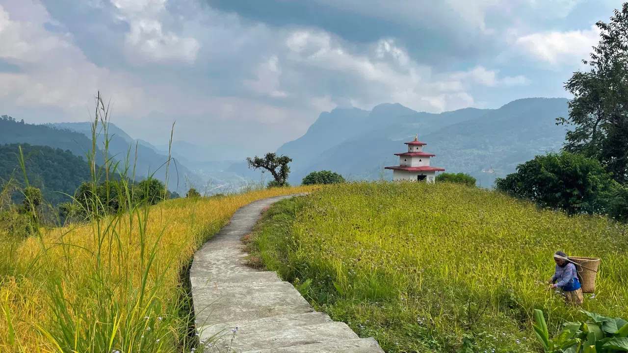 从丹普斯前往佩迪会经过美丽的田野，沿途可见务农的村民。（洪伟喜摄）