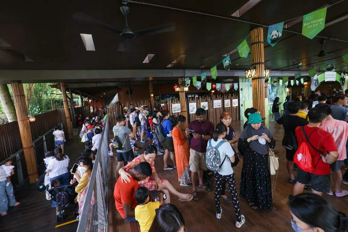 叻叻欢送会当天吸引了上千名公众前来，中午11时左右，等候参观的队伍已有上百人。（白艳琳摄）