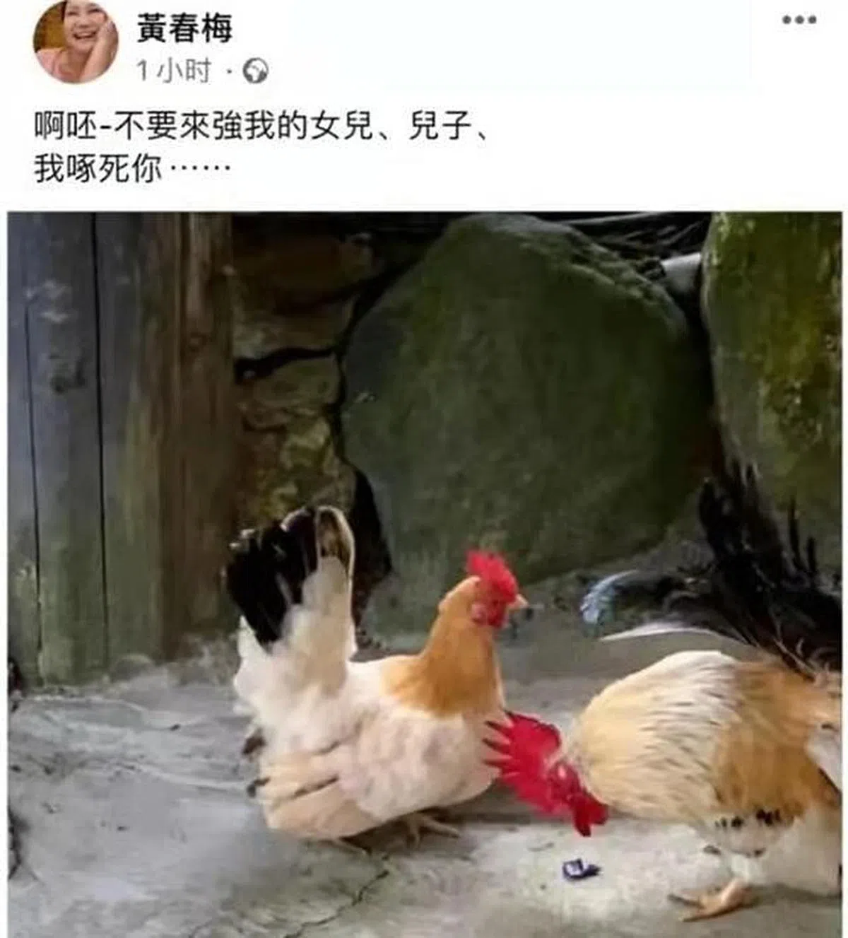 S妈发斗鸡图，被解读为警告具俊晔别来抢她的女儿。（取自艺人面簿）