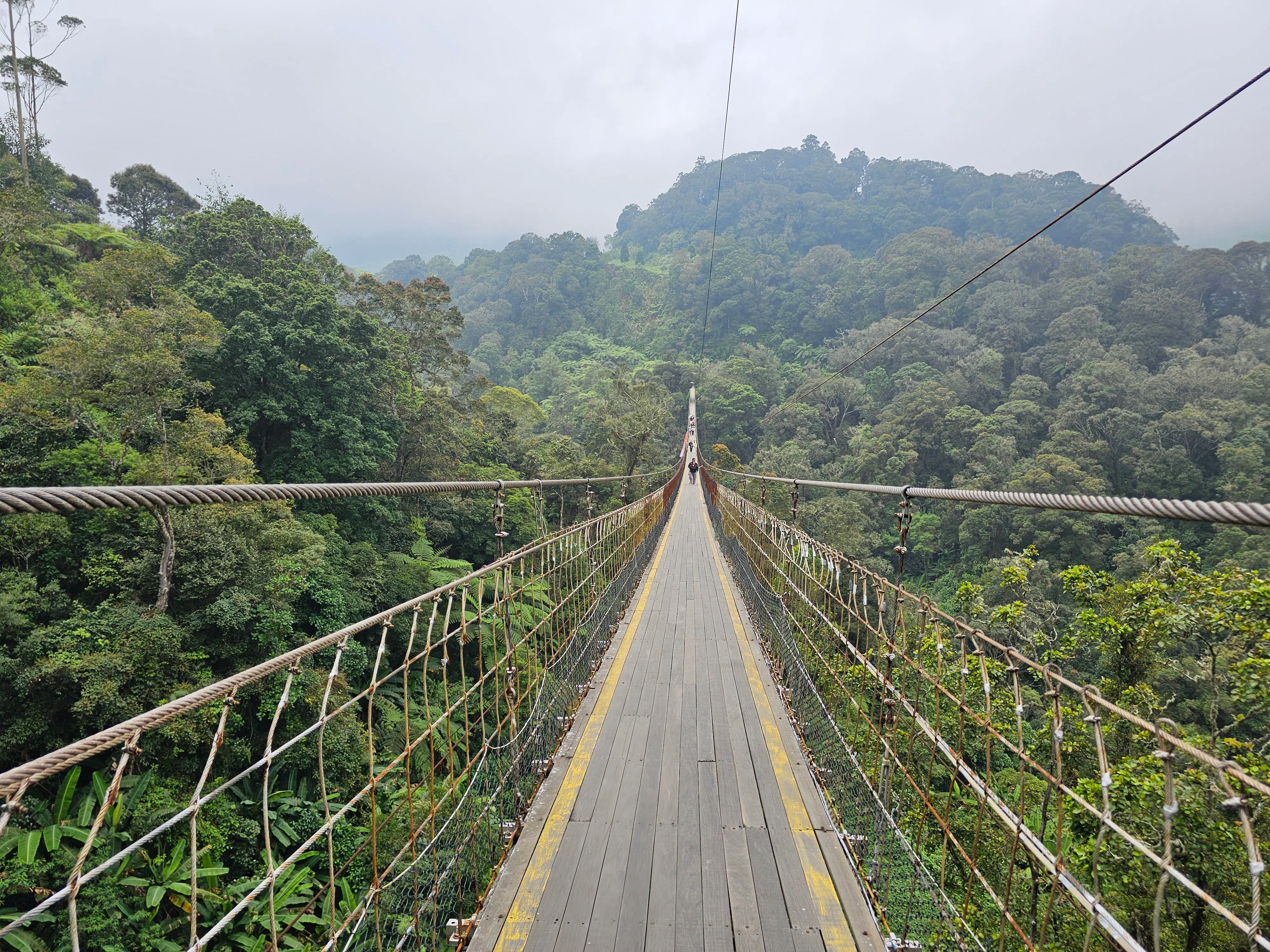 伦甘尼斯吊桥全长370米。（莞尔摄）