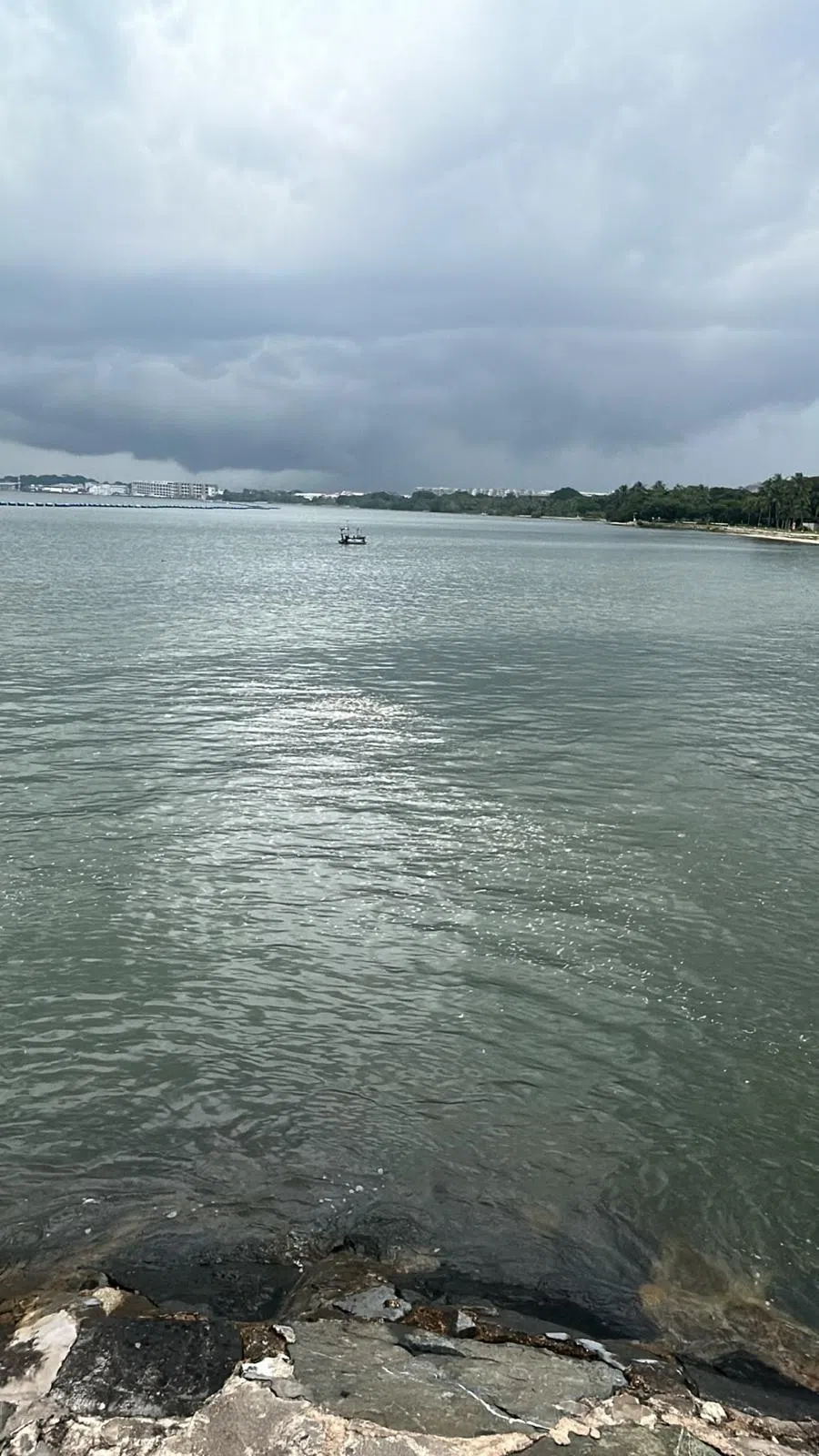 保育组织“海洋计划”星期五拍摄的照片显示，白沙公园近海看似没有异常。（受访者提供）