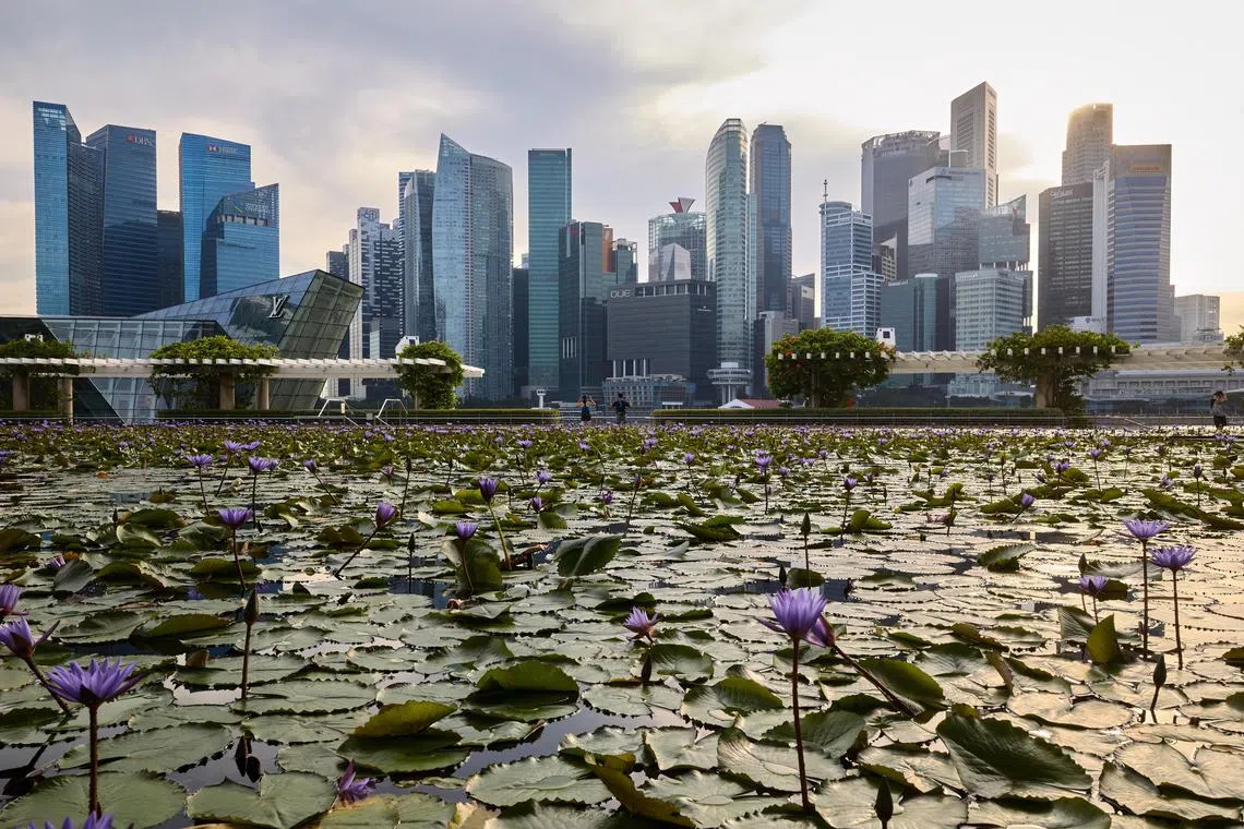 精诚携手共拓新程| 联合早报