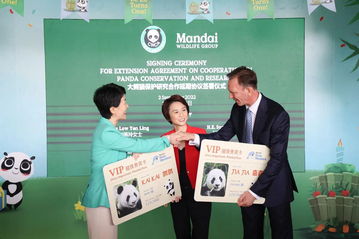 万态保育集团和中国野生动物保护协会签署大熊猫保护研究合作延期协议。（左起）中国驻新加坡大使孙海燕、贸工部兼文化、社区及青年部政务部长刘燕玲，以及万态保育集团总裁麦克出席仪式。（李冠卫摄）